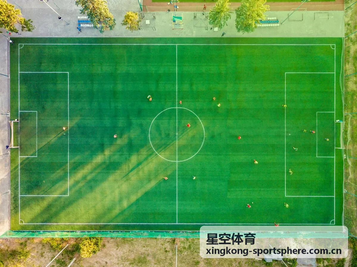 星空体育电竞体育选手训练与防护